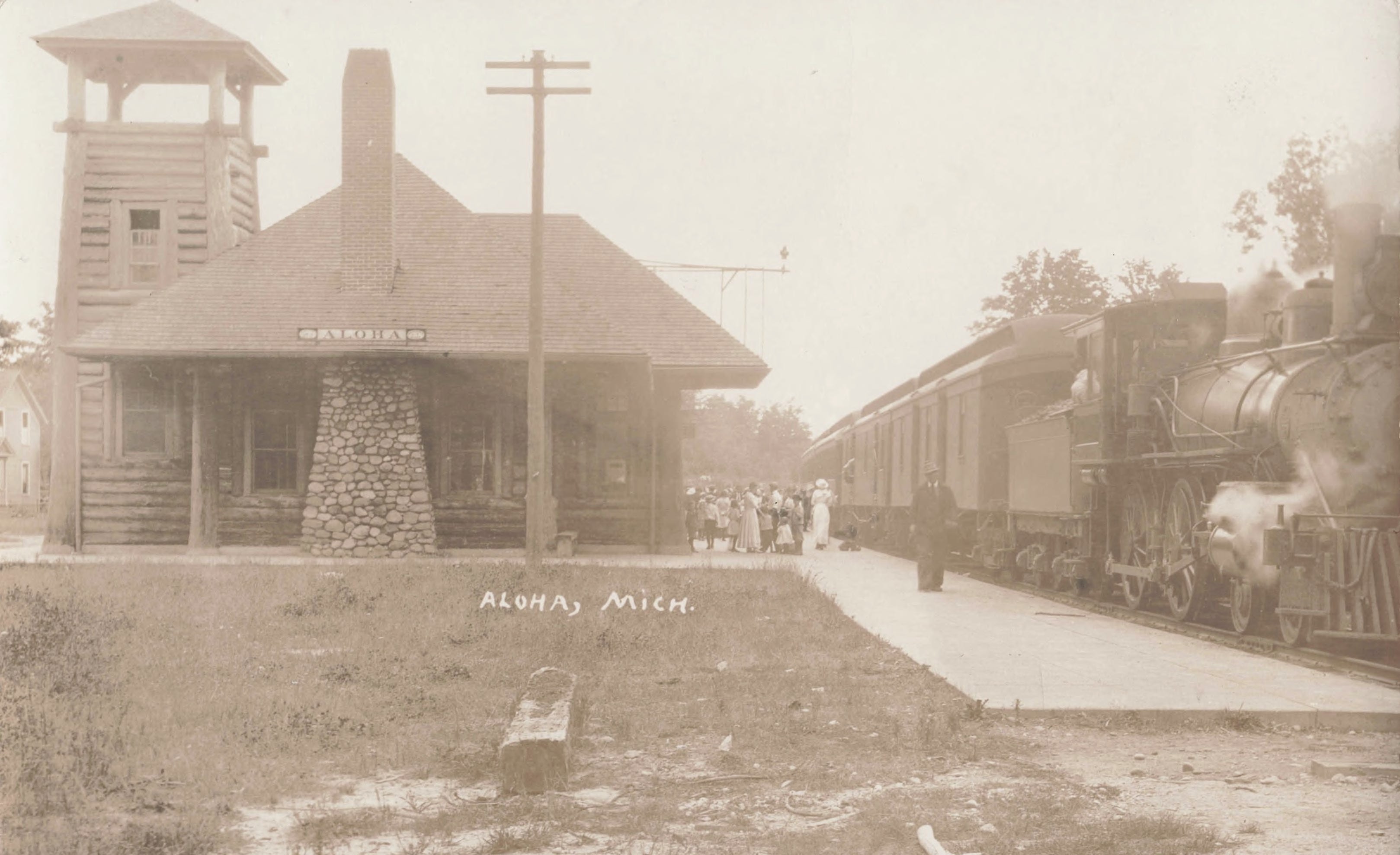 DM Aloha Passenger Train
